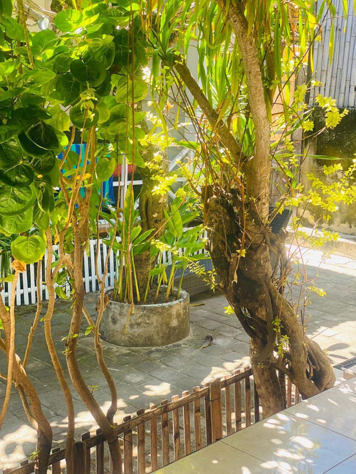 Tarci Bungalows Lembongan Nusa Lembongan  Luaran gambar